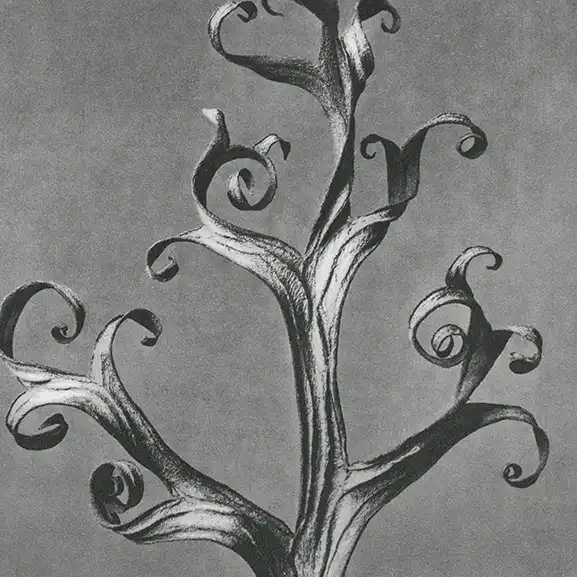 Image for the service